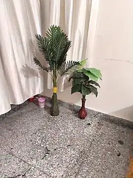 Snapshot of Shalu_G chatting on 28, 9, 2025 Shalu G online show from 28, 9, 2025