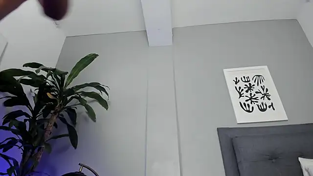 Tylerffoxx online show from 29, 4, 2026