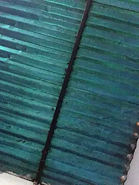 Snapshot of veronica_and_bryan chatting on 14, 9, 2025 veronica and bryan online show from 14, 9, 2025