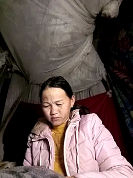 MaiHoa69 online show from 3, 3, 2026