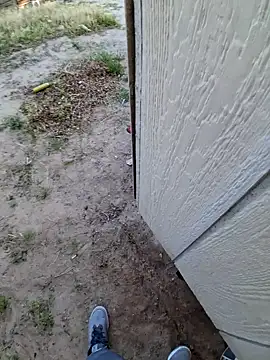 MassedParidae online show from 4, 3, 2026