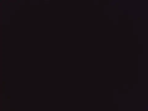 Hydtelegu online show from 3, 11, 2025