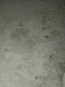 altafhyd online show from 5, 10, 2025