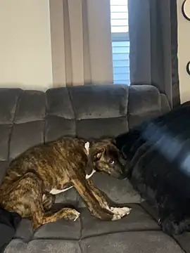 Snapshot of StableQuakers chatting on 12, 3, 2026 StableQuakers online show from 12, 3, 2026