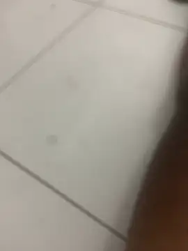 novin21rj online show from 7, 4, 2026