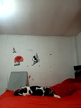 Lady 16 online show from 6, 1, 2026