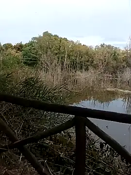 Snapshot of pegaso369 chatting on 20, 10, 2025 pegaso369 online show from 20, 10, 2025