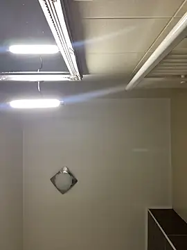 Lexi Storm online show from 2, 3, 2026