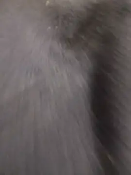 Funny Karina online show from 15, 12, 2025