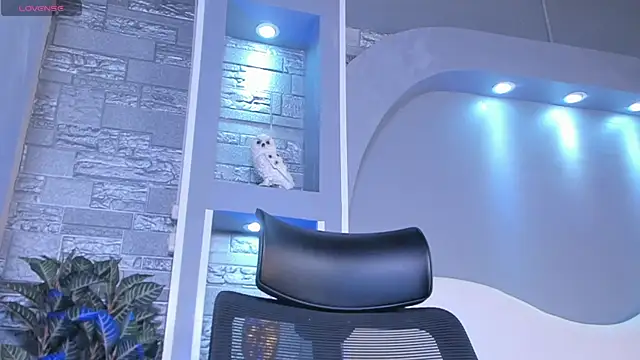 dominic de luca online show from 22, 4, 2026