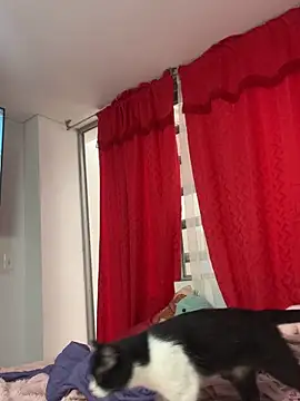 larsonbeverly online show from 21, 4, 2026