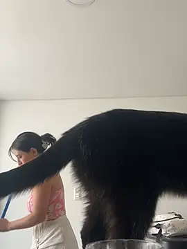 larsonbeverly online show from 27, 4, 2026