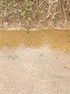 CoMay003 online show from 12, 3, 2026