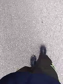 Axelitoc online show from 2, 3, 2026