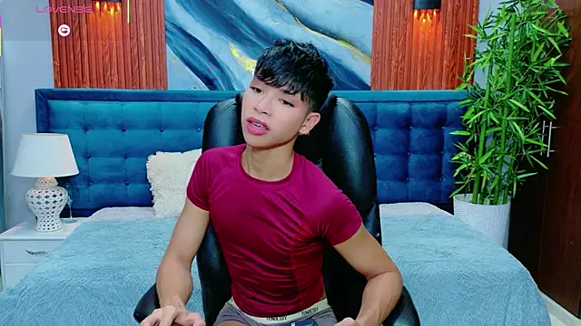 dilan 911 online show from 19, 5, 2026