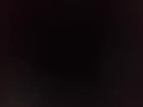 PeludoBrasil online show from 16, 3, 2026