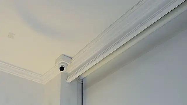 elsa gb online show from 26, 4, 2026