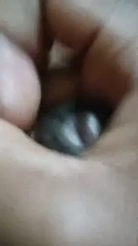 Snapshot of Vizgeboys chatting on 2, 12, 2025 Vizgeboys online show from 2, 12, 2025