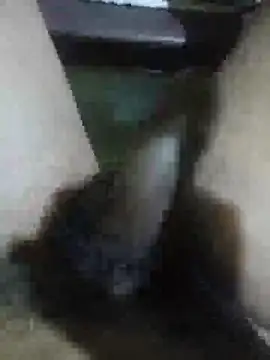 Snapshot of Vizgeboys chatting on 28, 2, 2026 Vizgeboys online show from 28, 2, 2026