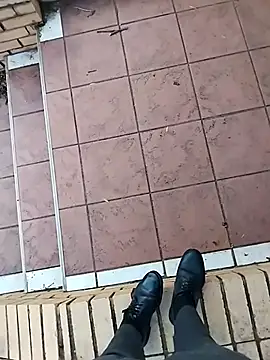 shebeshid online show from 11, 3, 2026