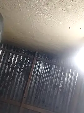 shebeshid online show from 13, 4, 2026