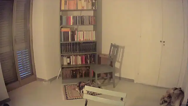 Mrkurt86 online show from 26, 10, 2025