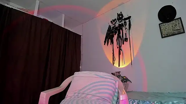 dex 55 online show from 2, 4, 2026