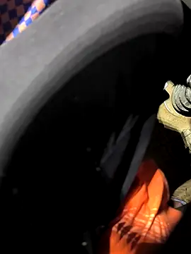 rajdehli online show from 26, 4, 2026