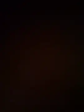 polokipo online show from 3, 8, 2026