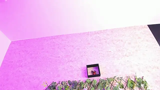 ImEmily444 online show from 4, 10, 2025