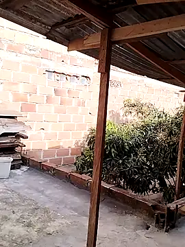 hoteder online show from 28, 11, 2025