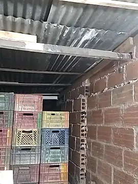 hoteder online show from 5, 2, 2026