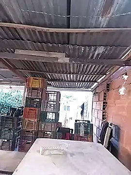 hoteder online show from 11, 2, 2026