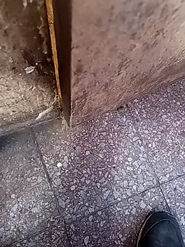 lucho2328 online show from 10, 9, 2025