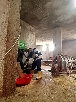 ezgi2545 online show from 6, 3, 2026