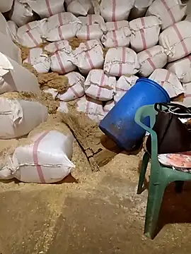 ezgi2545 online show from 19, 4, 2026