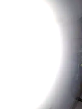 sexy pikachu online show from 2, 6, 2026