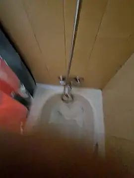 Snapshot of tonipit chatting on 14, 12, 2025 tonipit online show from 14, 12, 2025