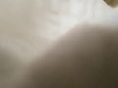 Dallasbest214 online show from 17, 4, 2026