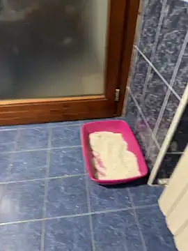 maialexte online show from 27, 4, 2026