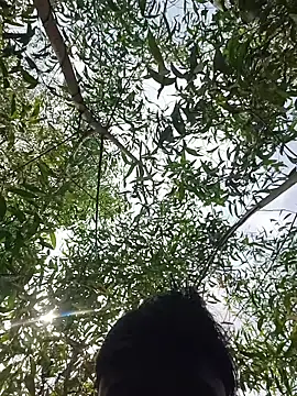 96Rohon online show from 21, 3, 2026