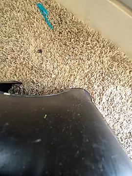 Snapshot of EsDezz88 chatting on 22, 3, 2026 EsDezz88 online show from 22, 3, 2026