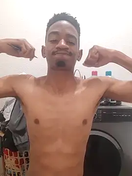 Snapshot of gemini_loops chatting on 29, 10, 2025 gemini loops online show from 29, 10, 2025