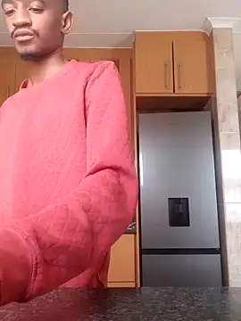 gemini loops online show from 17, 2, 2026