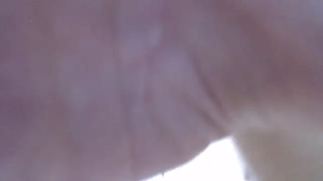 LillyDream2 online show from 16, 2, 2026