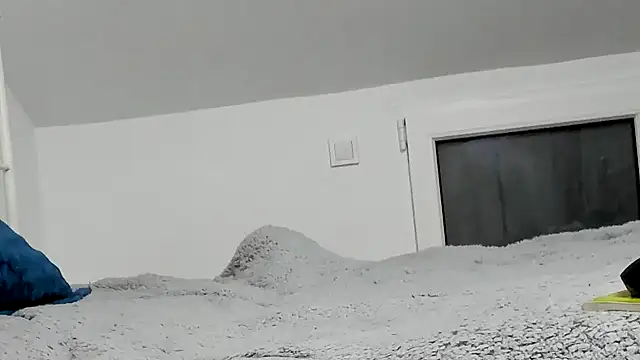 alesquirt33 online show from 11, 4, 2026