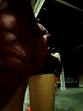 Sinejdk3 online show from 11, 3, 2026