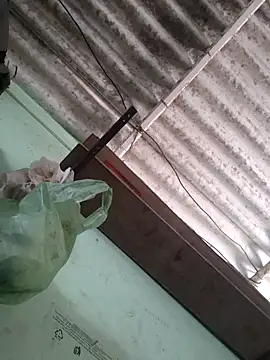 akshant1234 online show from 17, 11, 2025