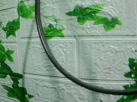 Snapshot of daros453 chatting on 3, 11, 2025 daros453 online show from 3, 11, 2025