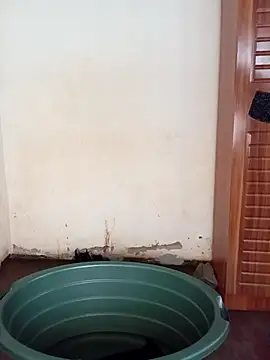 small D94 online show from 22, 4, 2026